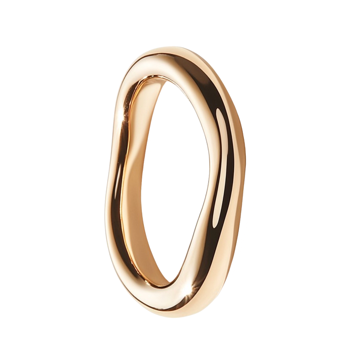 Perfect_Loop_Ring-01