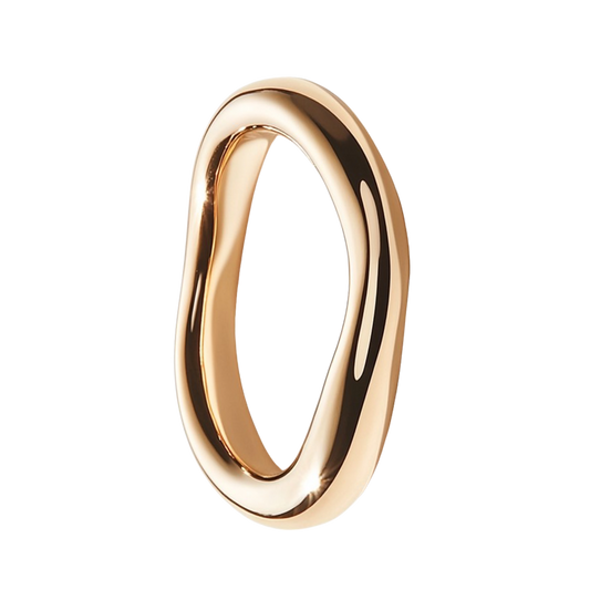 Perfect_Loop_Ring-01