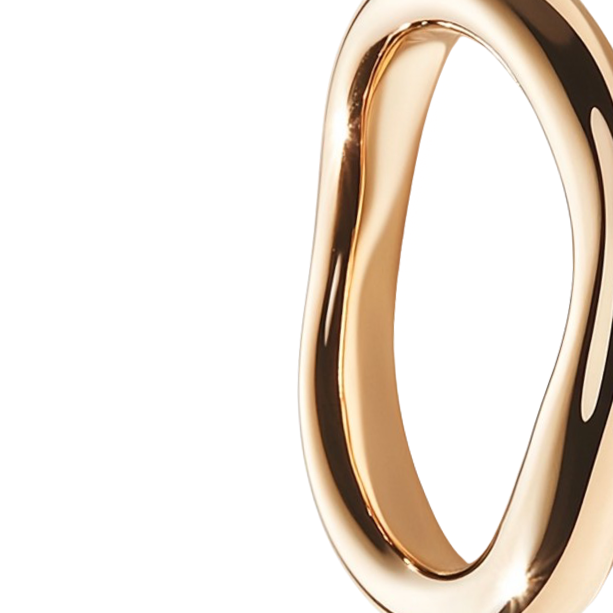 Perfect_Loop_Ring-02