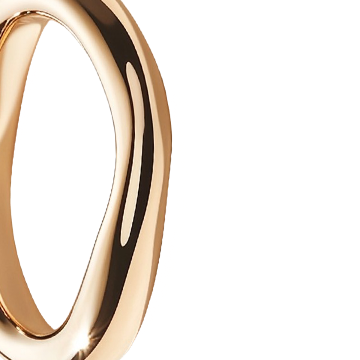 Perfect_Loop_Ring-03